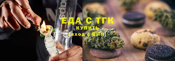 хмурый Гусь-Хрустальный
