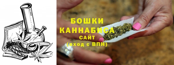 хмурый Гусь-Хрустальный