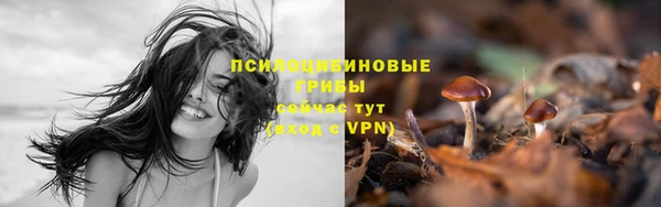 первитин Гусев
