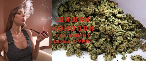 хмурый Гусь-Хрустальный