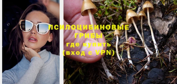 первитин Гусев