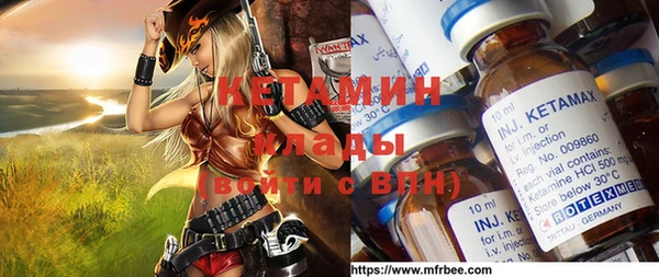хмурый Гусь-Хрустальный