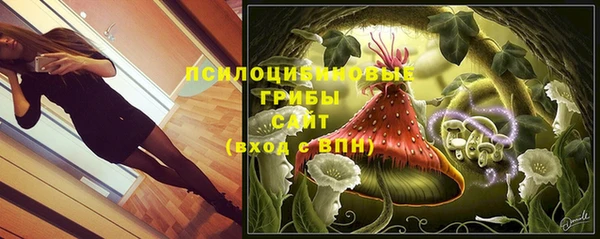 хмурый Гусь-Хрустальный