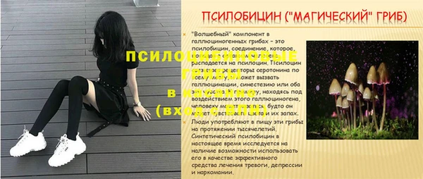 ALPHA PVP Гусиноозёрск