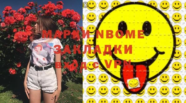 хмурый Гусь-Хрустальный