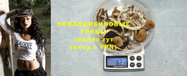 первитин Гусев