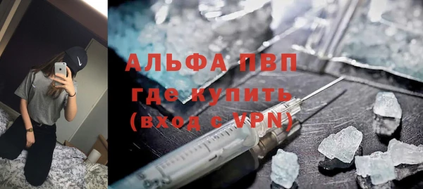 хмурый Гусь-Хрустальный
