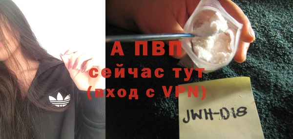 хмурый Гусь-Хрустальный