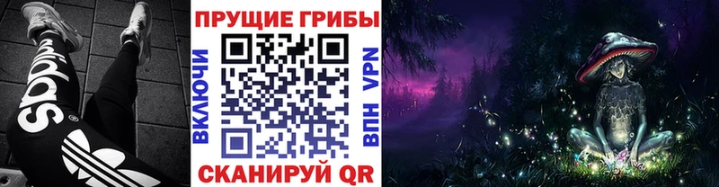 Галлюциногенные грибы Magic Shrooms  KRAKEN зеркало  Сызрань 